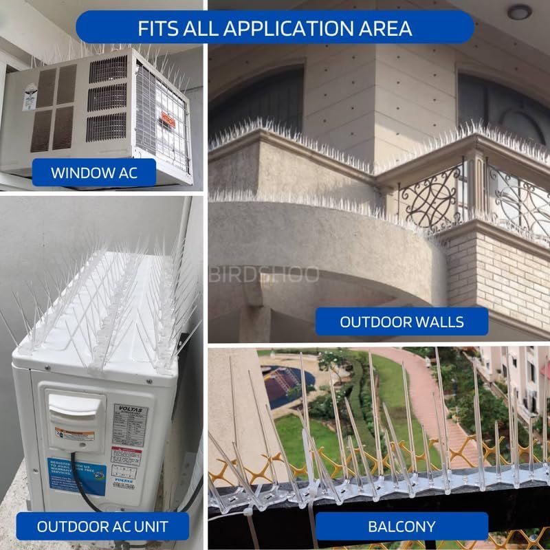 Bird spikes installed on Chennai building ledge