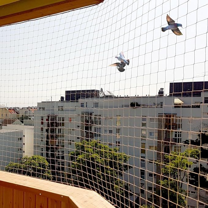 Pigeon net closeup view on ledge