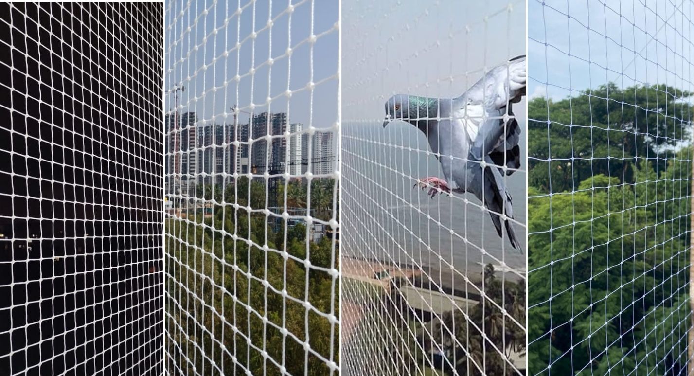 Pigeon Safety Nets installation